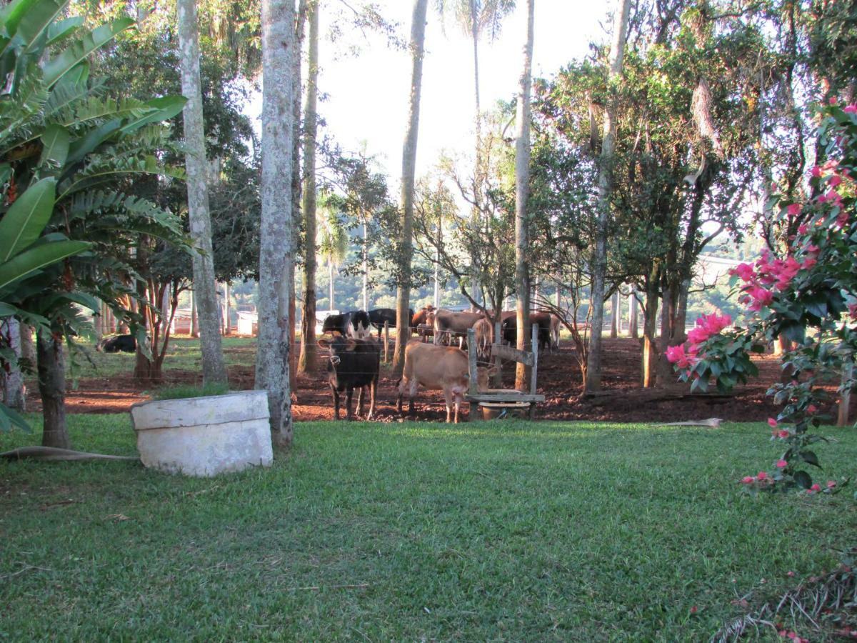 Pousada Longe Vista Tibagi Bagian luar foto